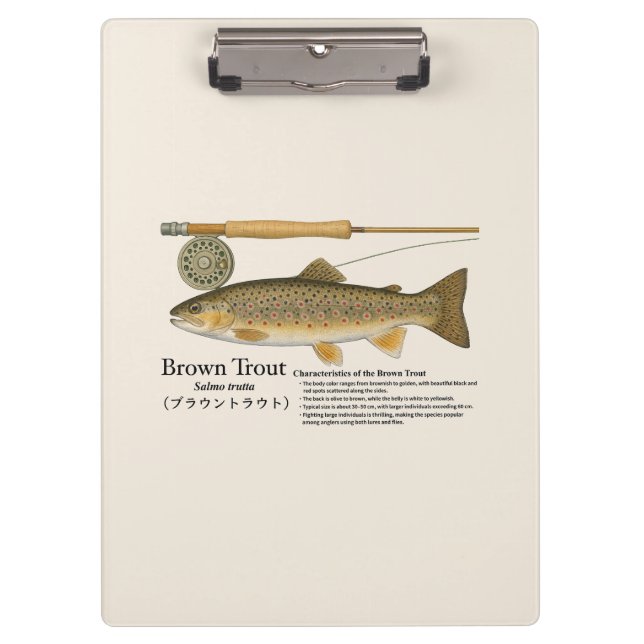 Prancheta de Ilustração de Pesca com Mosca para Tr (Frente)