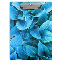Prancheta de Planta Hosta