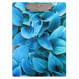 Prancheta de Planta Hosta