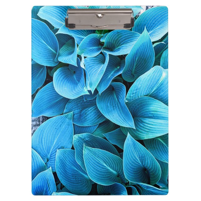 Prancheta de Planta Hosta (Frente)