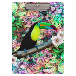 Prancheta de Toucan 4