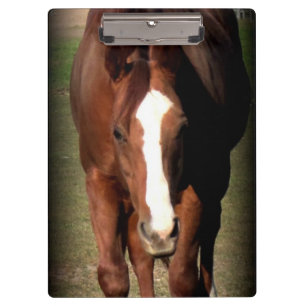 Prancheta do cavalo