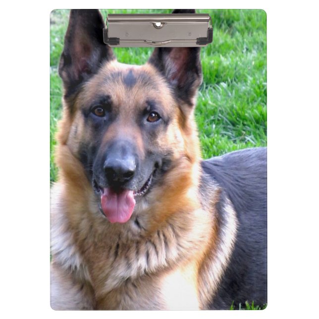 Prancheta do german shepherd (Frente)
