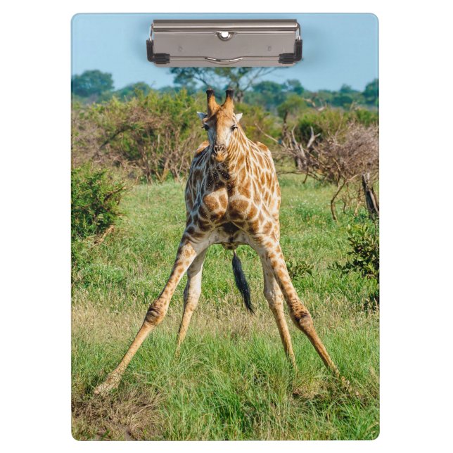 prancheta Giraffe (Frente)