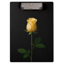 Prancheta Preta 4 Luxe, Rosa Amarela Iluminada pel