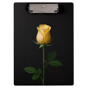 Prancheta Preta 4 Luxe, Rosa Amarela Iluminada pel