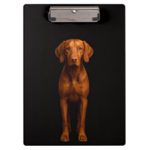 Prancheta Preta 4 Luxo, Cachorro Vizsla Ágil