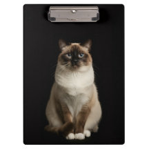 Prancheta Preta 4 Luxo com Gato Birmanês