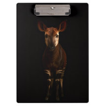 Prancheta Preta 4 Luxo, Okapi da Floresta