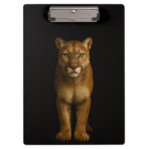 Prancheta Preta 4 Luxo, Puma Silencioso de Primeir