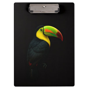 Prancheta Preta 4 Luxo, Tucano-de-bico-preto