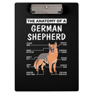 Pranchetas A Anatomia De Um German shepherd