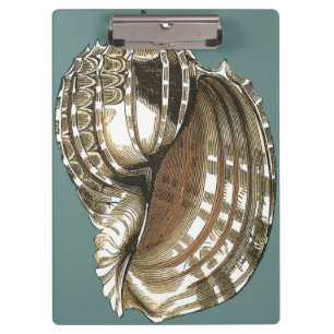 Pranchetas A Joia do Oceano