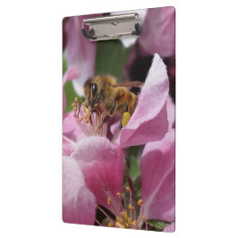 Pranchetas Abelha do mel que Pollinating a flor cor-de-rosa