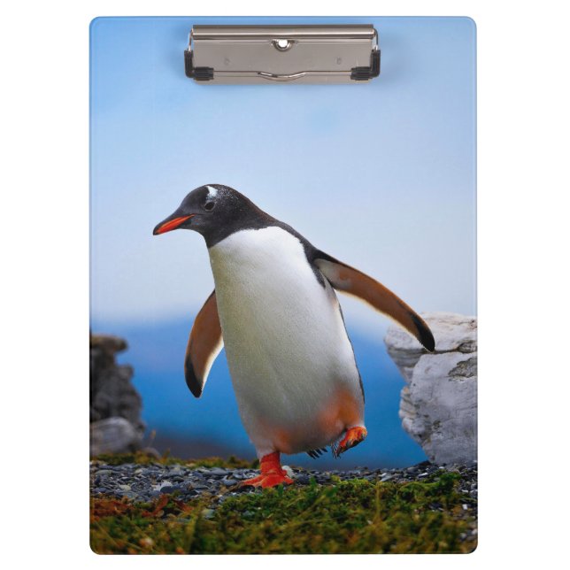 Pranchetas Adicione Seus Próprios presentes personalizados do (Frente)