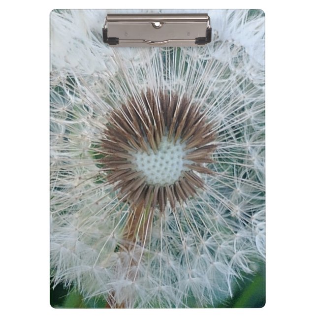 Pranchetas Adorável Dandelion Branco (Frente)