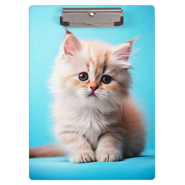 Pranchetas Adorável White Kitten Potrait- 54971 (Frente)