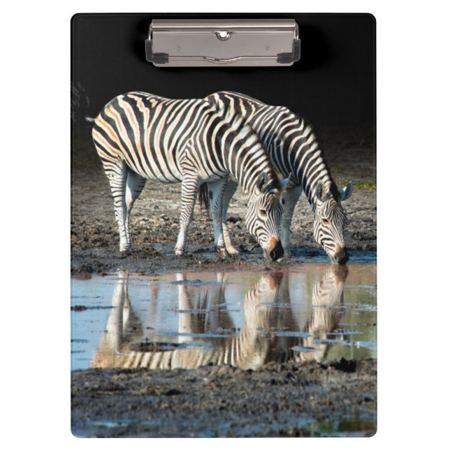 Pranchetas África, Botsuana, Delta do Okavango, Davison Camp (Frente)