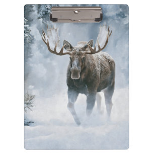 Pranchetas Alce Macho Caminhando pela Neve Boreal