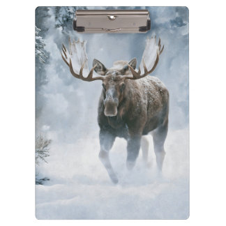 Pranchetas Alce Macho Caminhando pela Neve Boreal