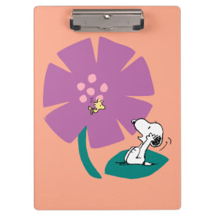 Pranchetas Amendoins   Ilustração da Natureza: Flor Roxo