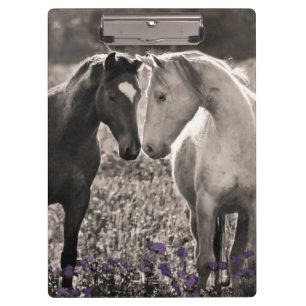 Pranchetas Amor do cavalo