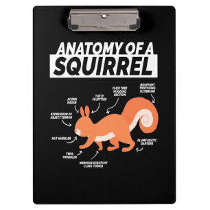 Pranchetas Anatomia de um esquilo