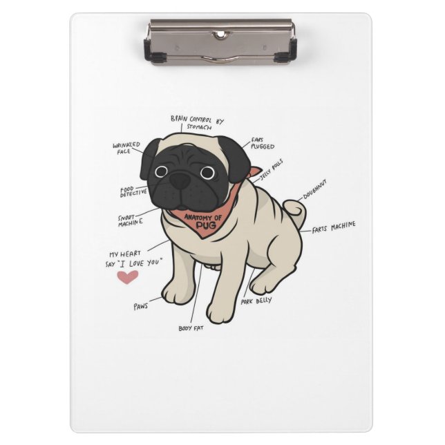 Pranchetas Anatomia Do Cachorro Pug (Frente)