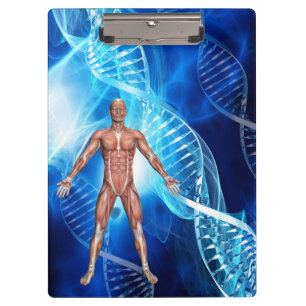 Pranchetas Anatomia humana com DNA Strands