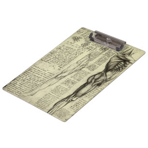 Pranchetas Anatomia Humana Masculina de Leonardo da Vinci Mús
