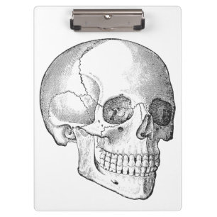 Pranchetas Anatomia médica desenho do crânio de colheita mono
