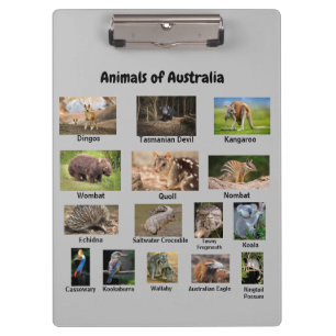 Pranchetas Animais da Área de Transferência da Austrália