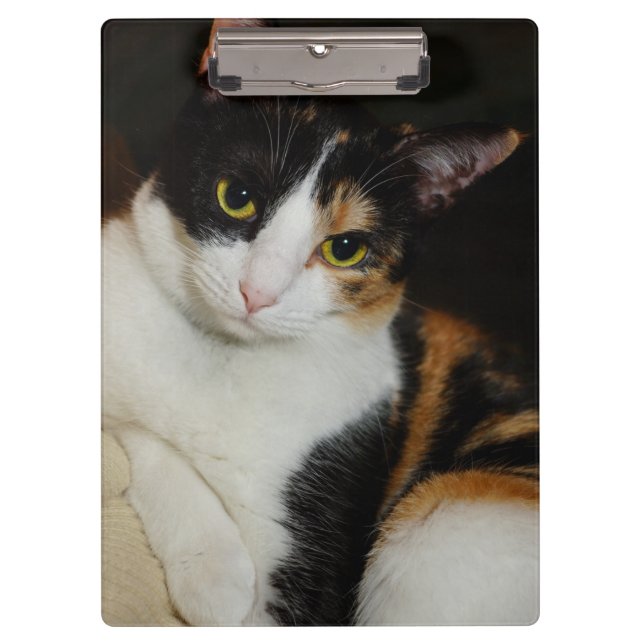 Pranchetas Apenas Andando Por Aí (Frente)