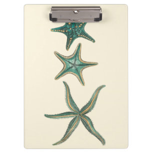 Pranchetas Aquamarine Triple Starfish