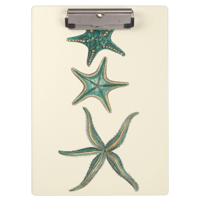 Pranchetas Aquamarine Triple Starfish (Frente)