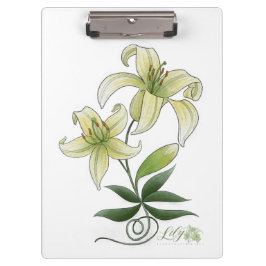 Pranchetas Área de transferência