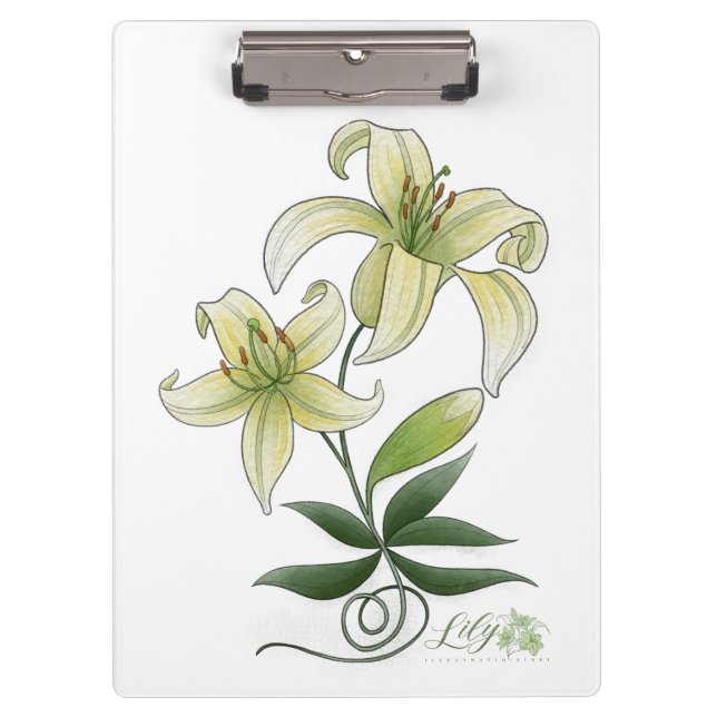 Pranchetas Área de transferência (Frente)