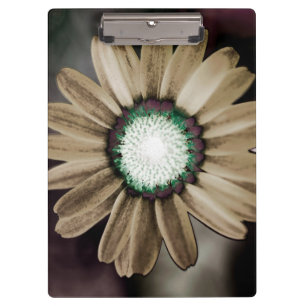 Pranchetas Área de Transferência Beige Rustic Daisy
