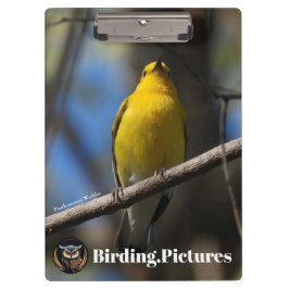 Pranchetas Área de Transferência Birding.Pictures