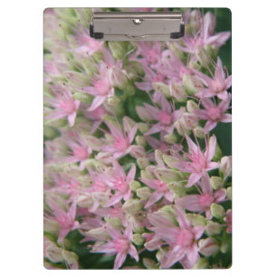 Pranchetas Área de Transferência de Flores Tropicais bonito R