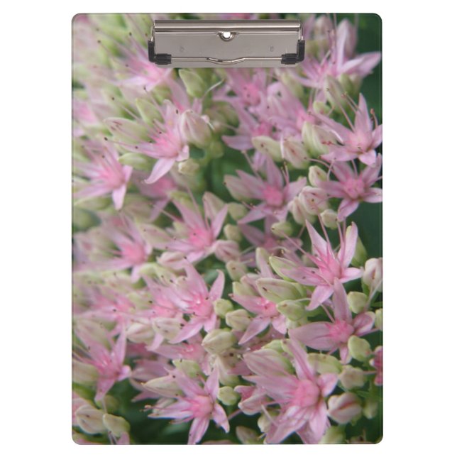 Pranchetas Área de Transferência de Flores Tropicais bonito R (Frente)