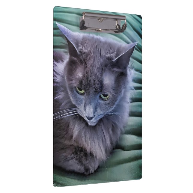 Pranchetas Área de Transferência de Gatos de Olhos Verdes da  (Direita)