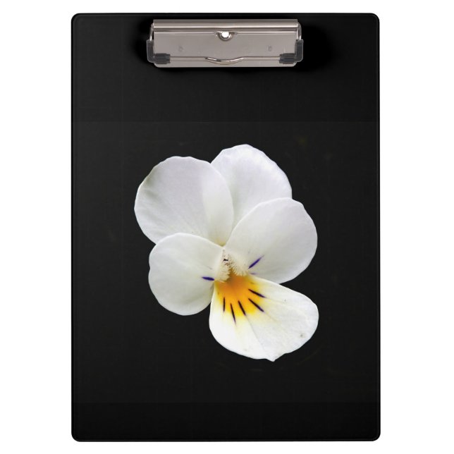 Pranchetas Área de Transferência de Pansy Selvagem (Frente)