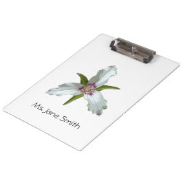 Pranchetas Área de Transferência de Primavera de Flor Selvage
