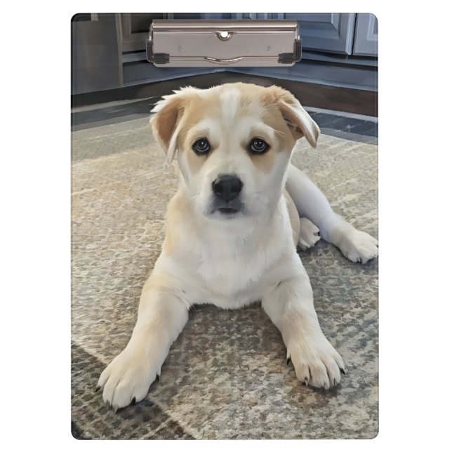 Pranchetas Área de Transferência de Sobrecarga de Puppy Cuten (Frente)