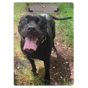 Pranchetas Área de transferência do Cane Corso X