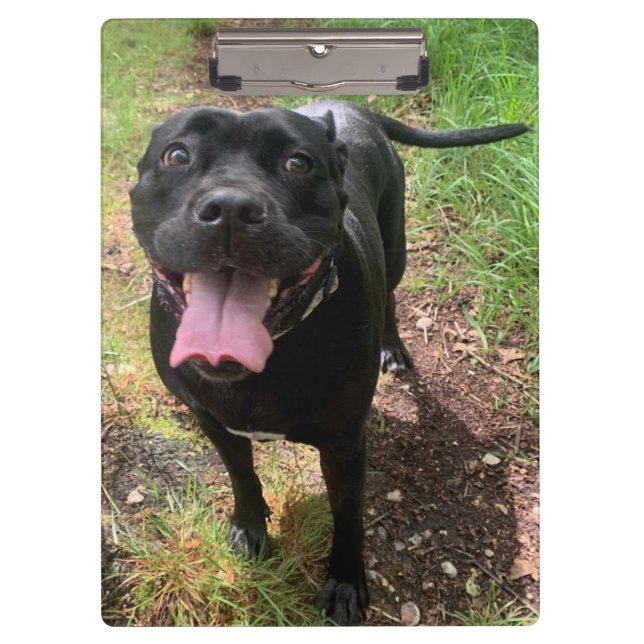 Pranchetas Área de transferência do Cane Corso X (Frente)