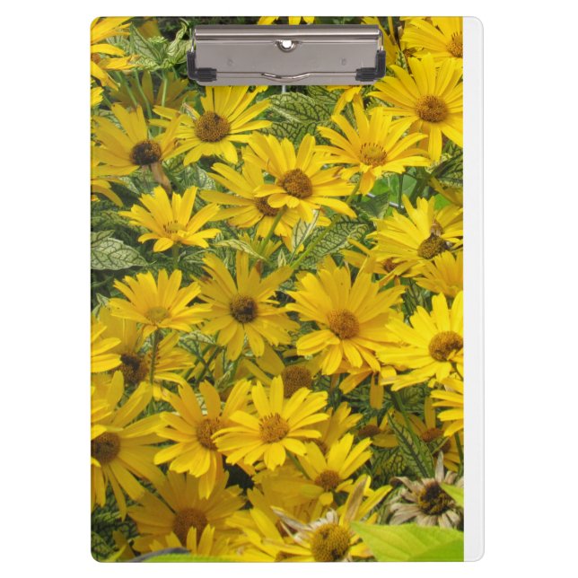Pranchetas Área de Transferência do Daisies Amarelo (Frente)