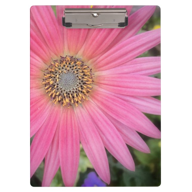 Pranchetas Área de Transferência do Escritório de Gerbera Ros (Frente)