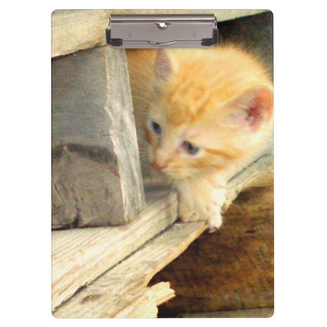 Pranchetas Área de Transferência do Meow Cats 1 (Frente)